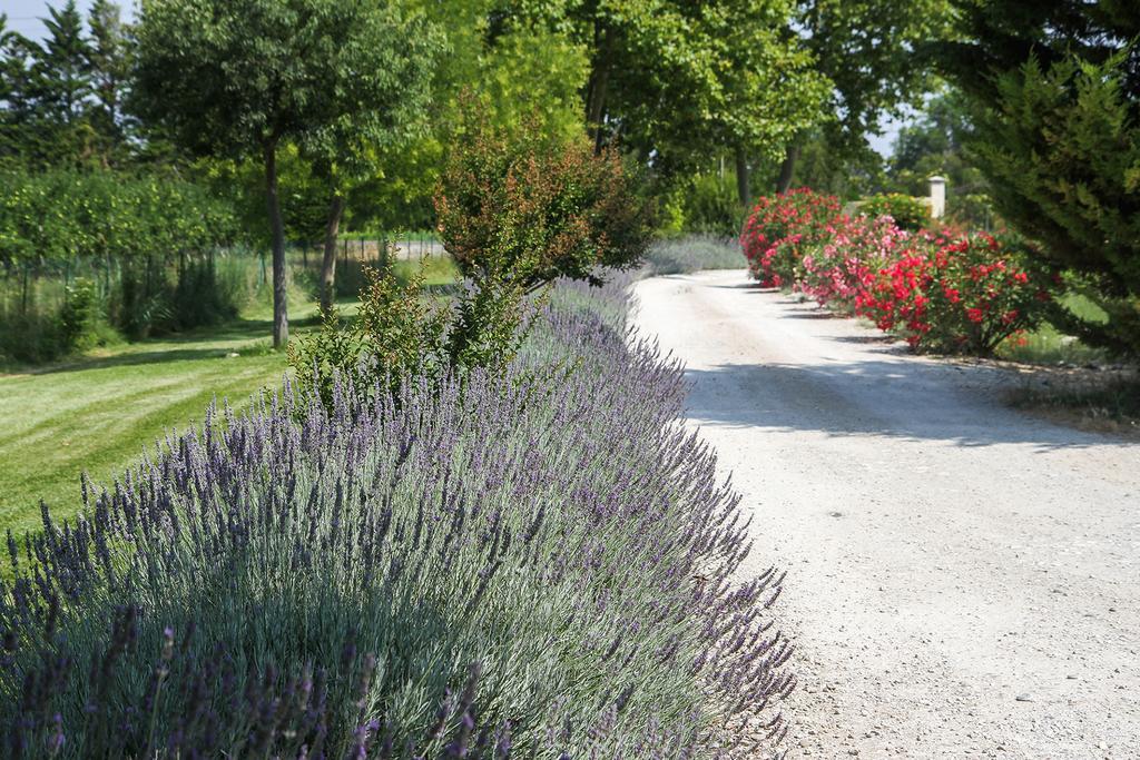 Les Carmes And Spa Le Thor Exterior foto